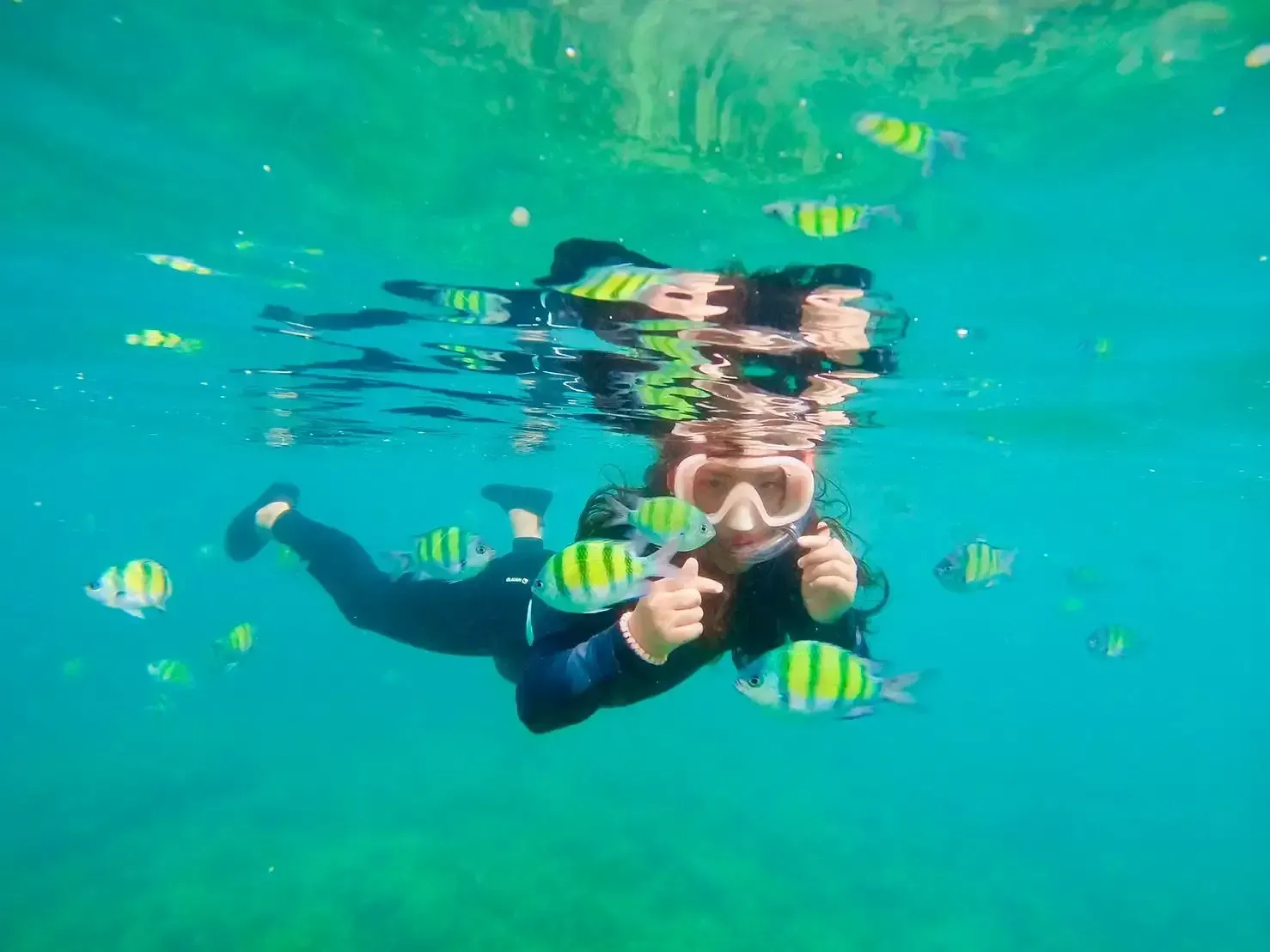 4-islands-tour-by-speedboat-17.webp