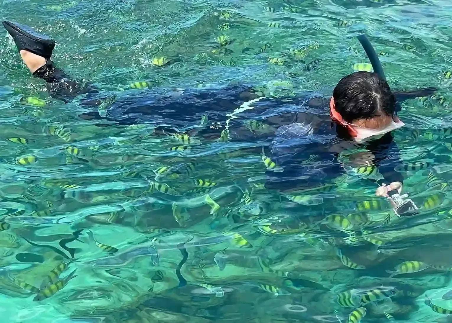 4-islands-tour-in-krabi-by-longtail-boat-23.webp