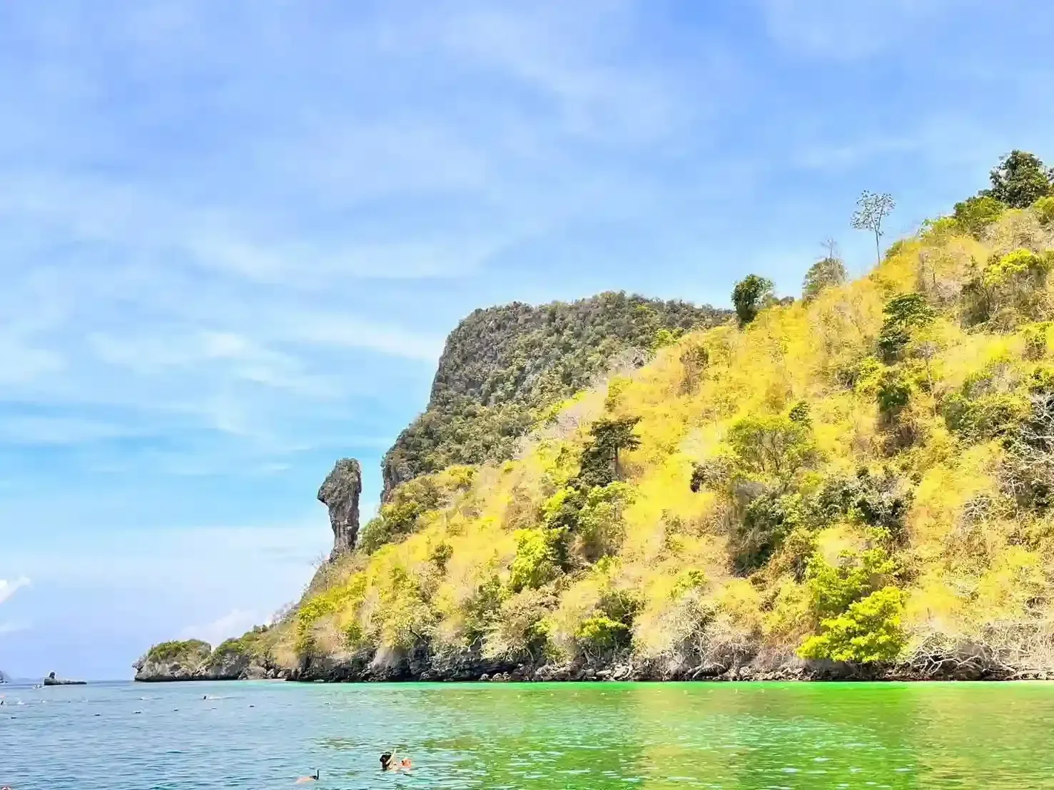 chicken island
