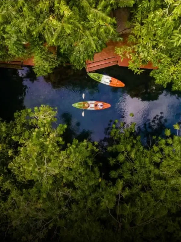 kayak tour activity