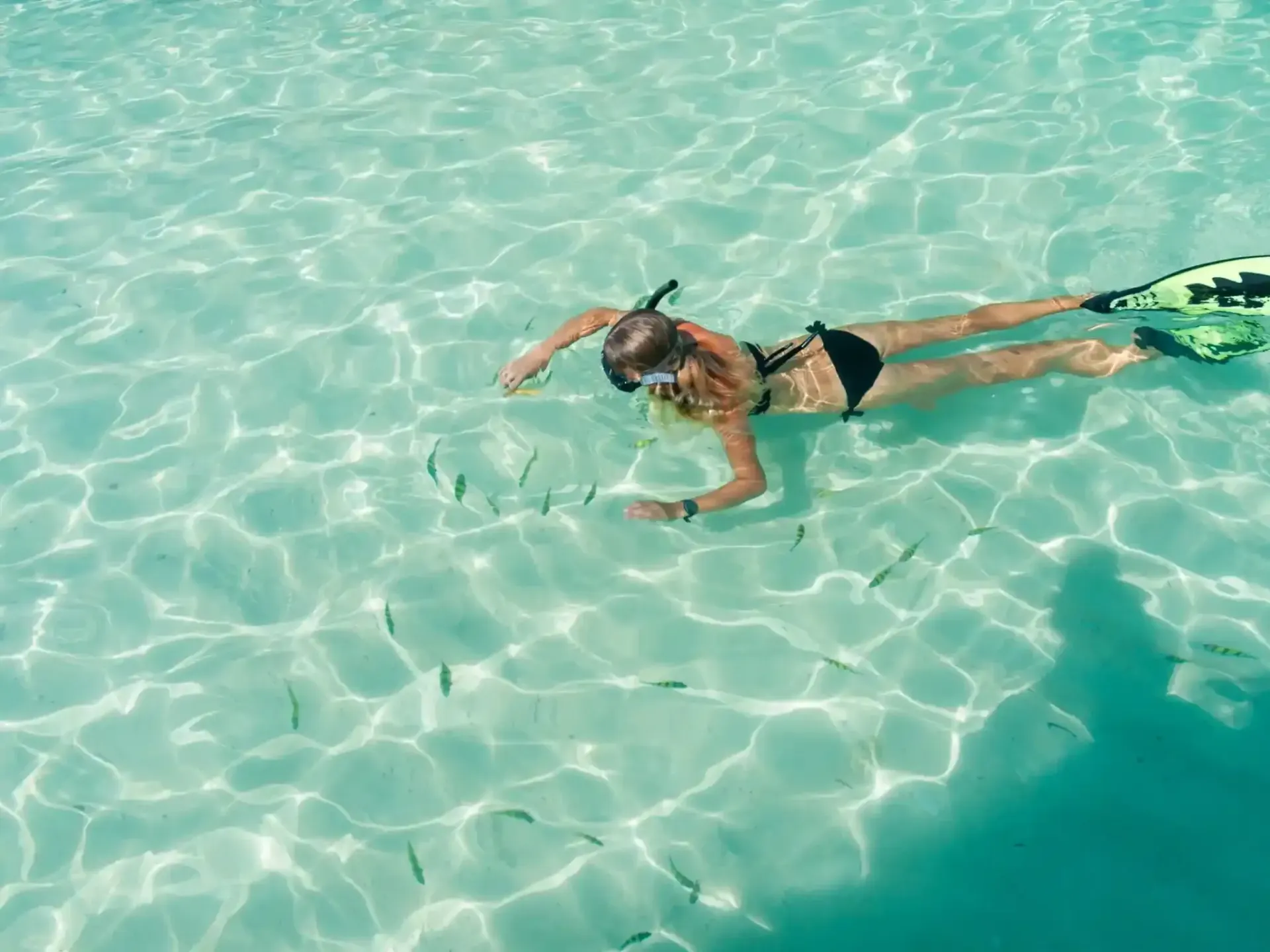 island-hopping-and-snorkeling-tour-in-hong-islands-16.webp