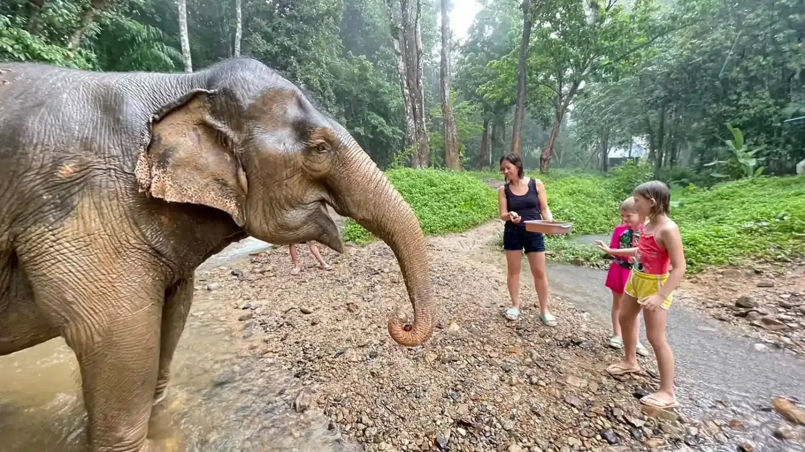krabi-elephant-tour-care-experience-08