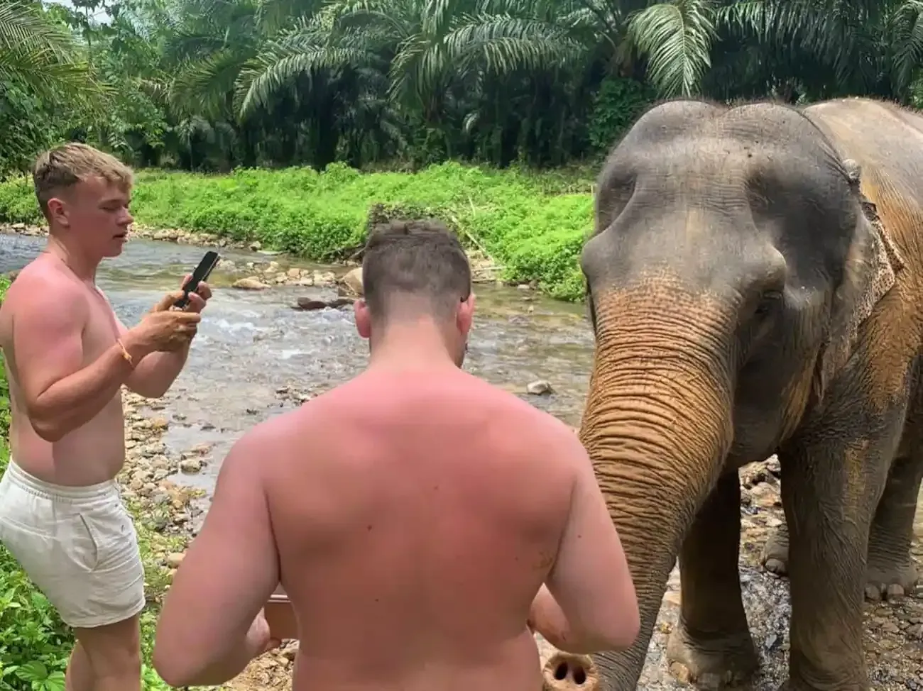 krabi-elephant-tour-care-experience-10
