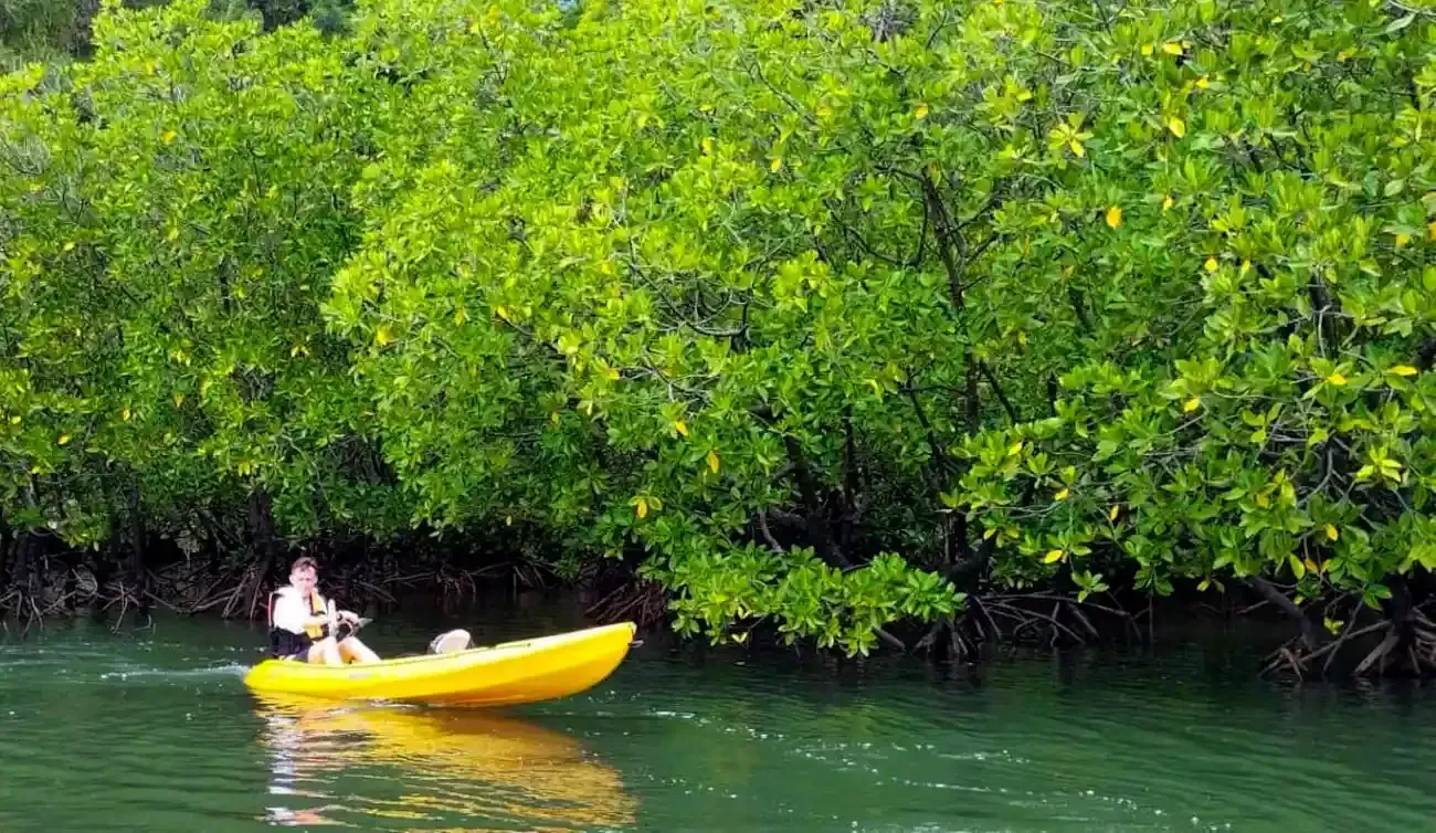 krabi-kayak-tour-through-ao-thalane-04.webp