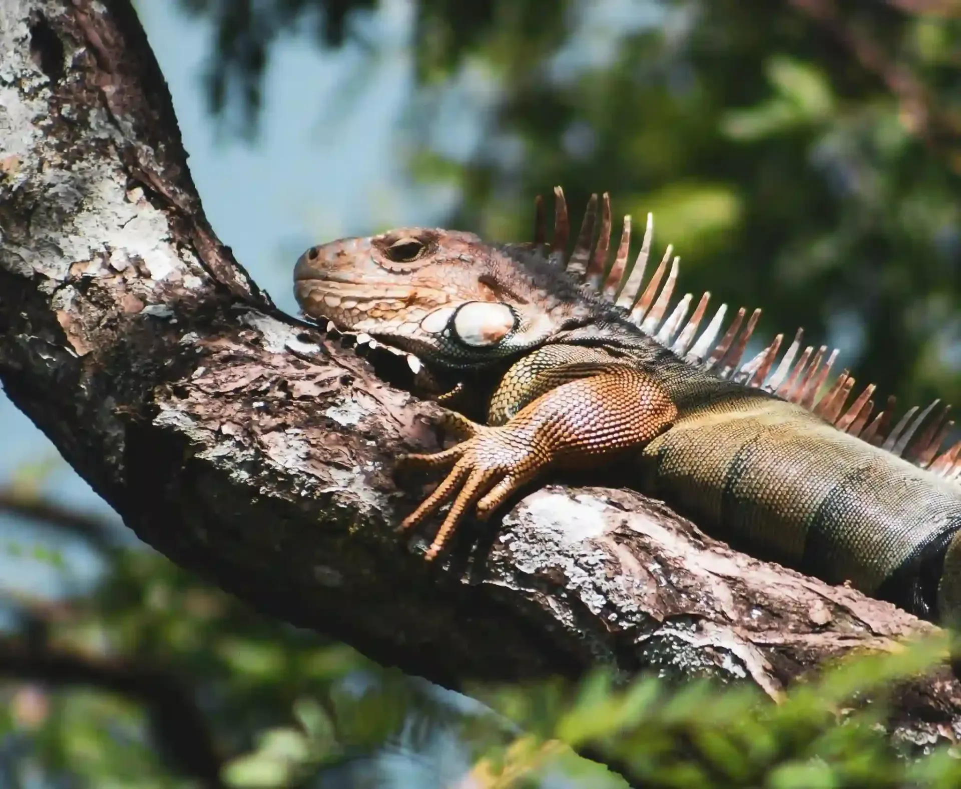krabi-kayak-tour-through-ao-thalane-05.webp