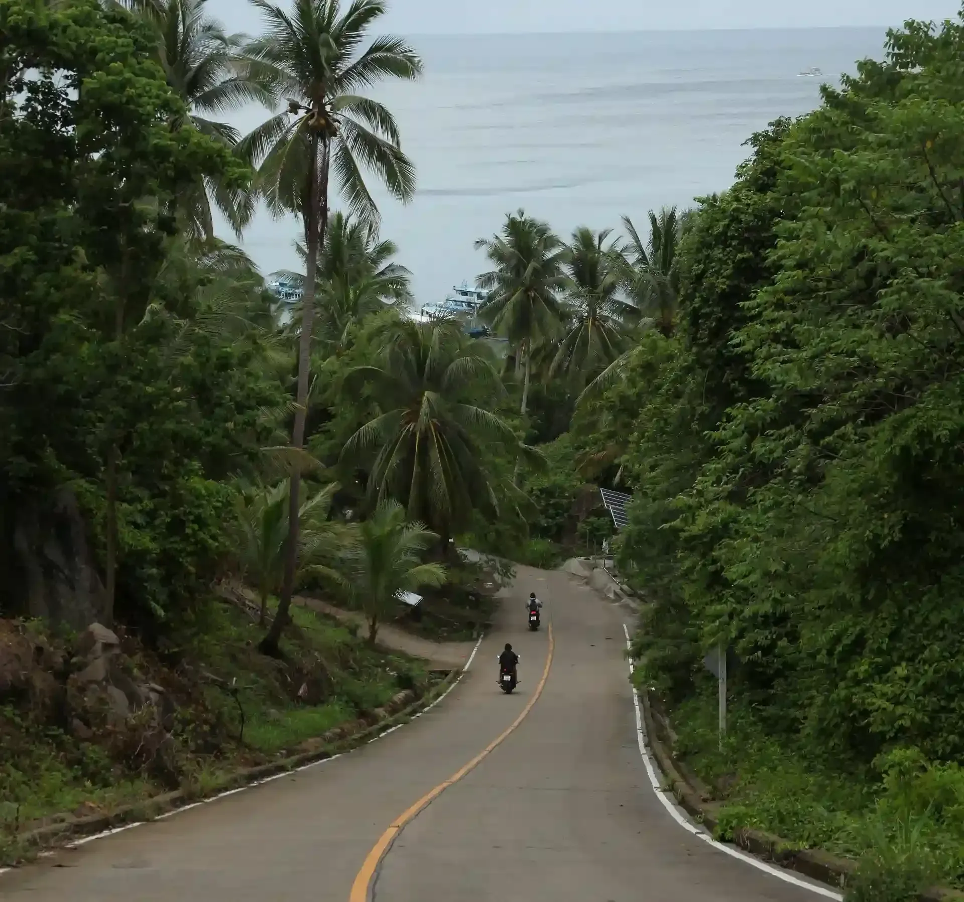 krabi-scooter-rental-03.webp