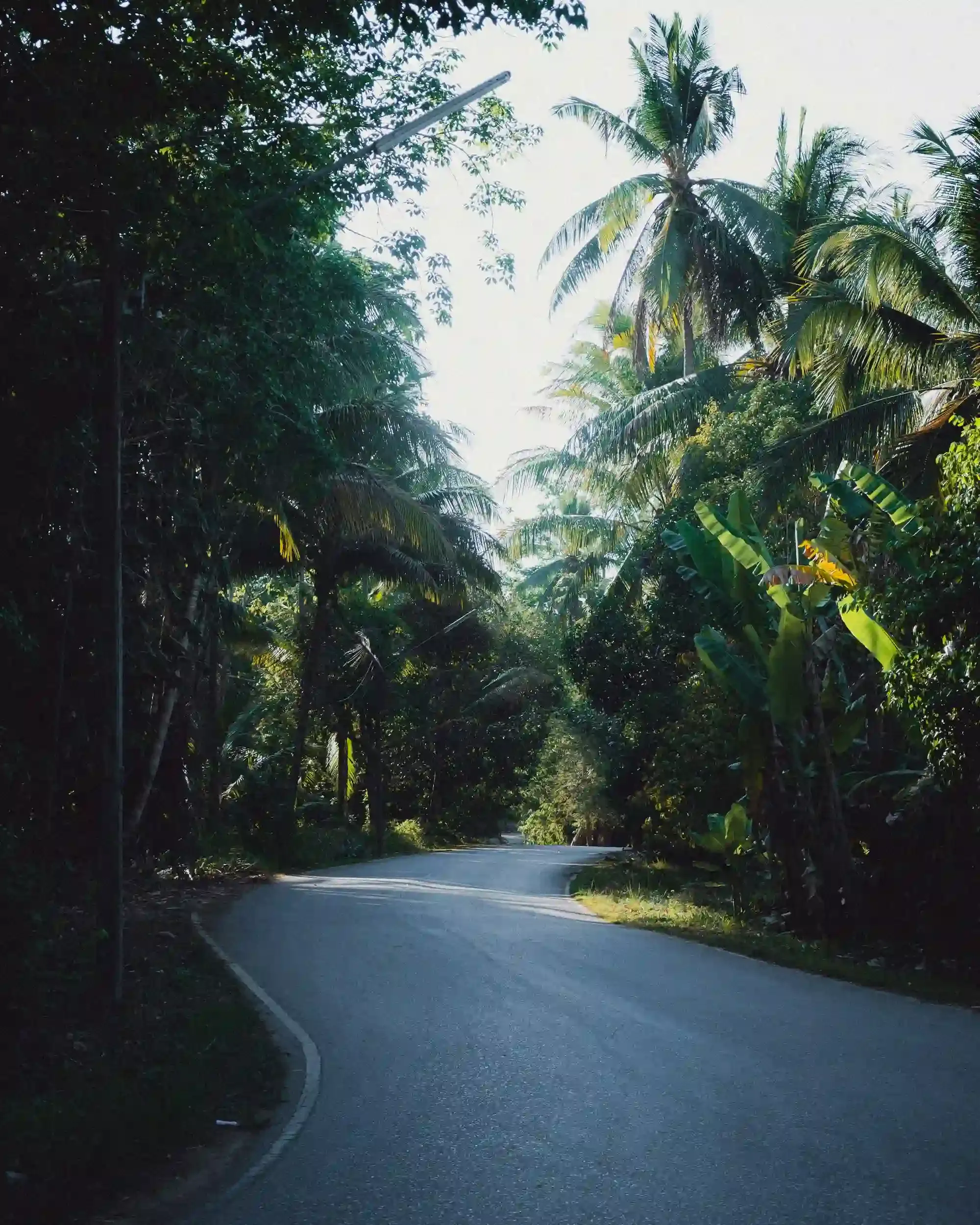 krabi-scooter-rental-08.webp