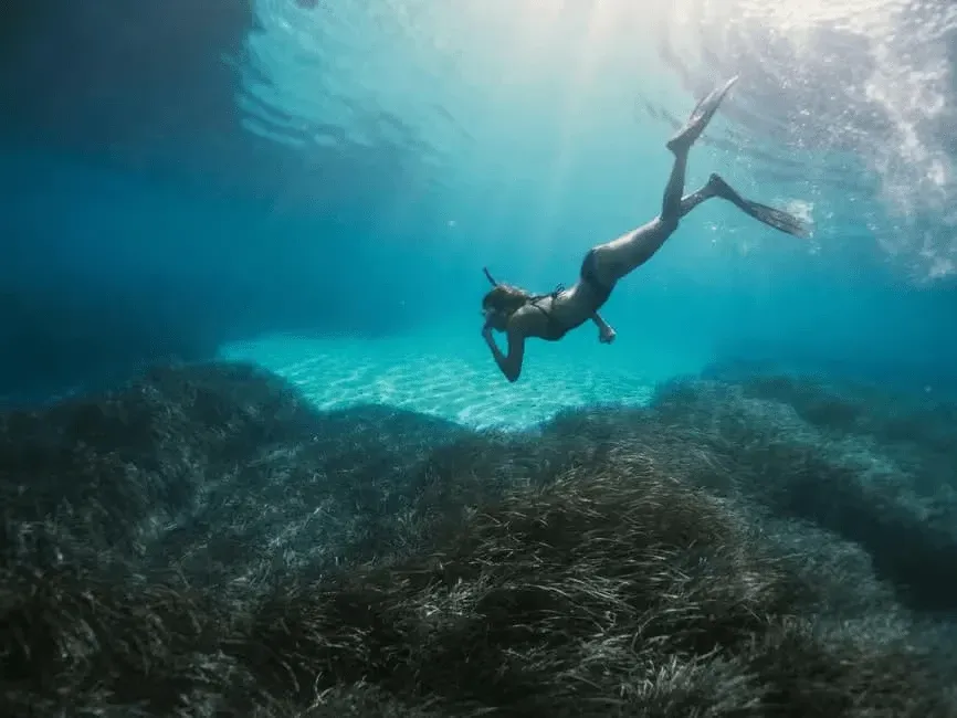 snorkeling activity