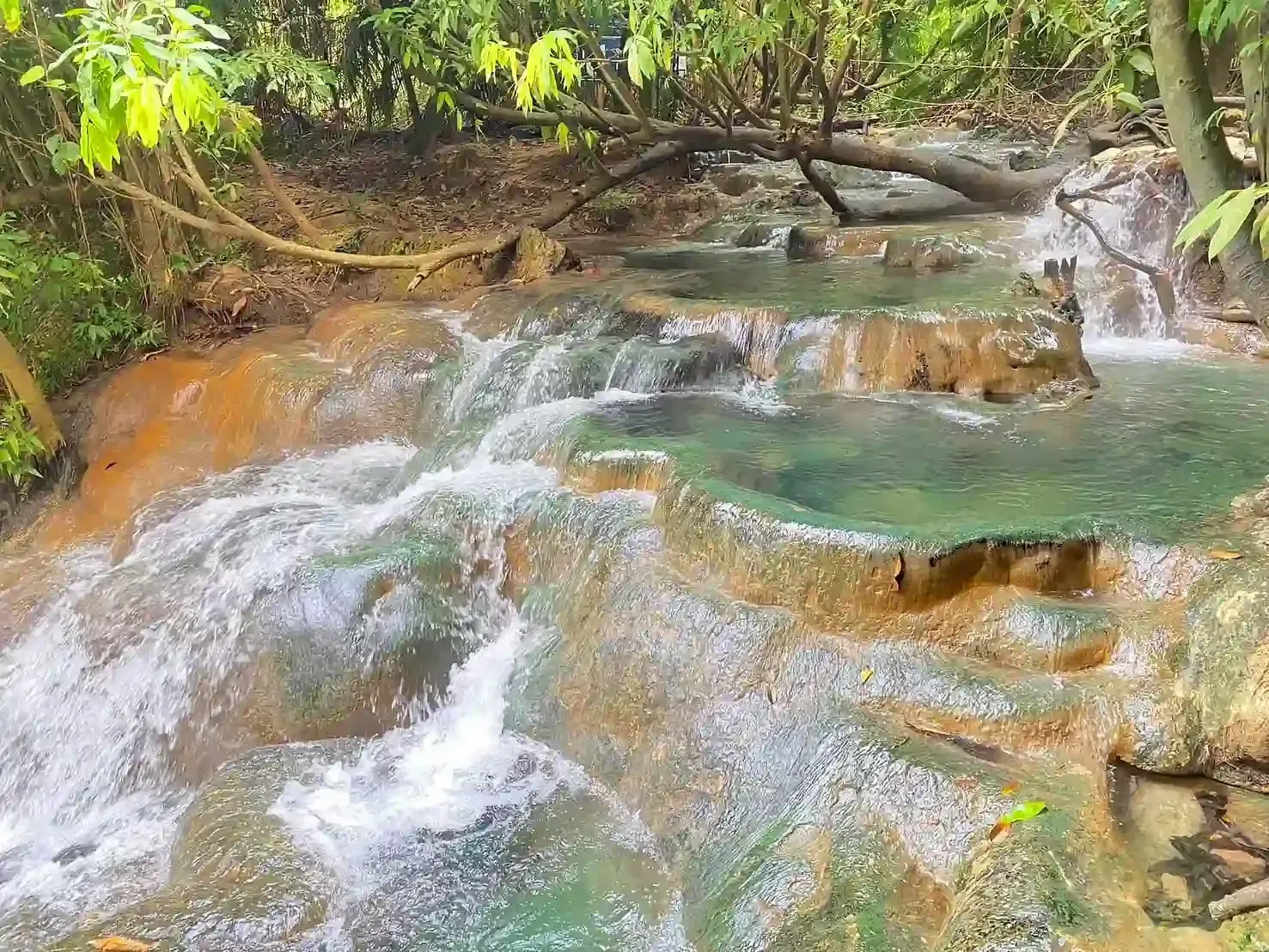 tiger-cave-temple-and-hot-springs-tour-14.webp