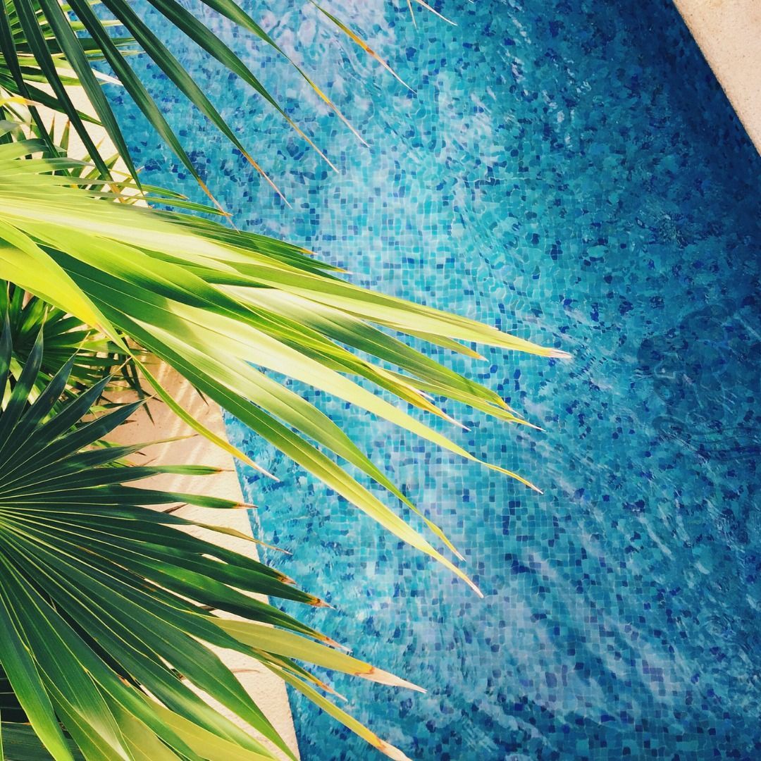 Bright green palm fronds cast a soft shadow over the shimmering, textured blue tiles of a swimming pool.