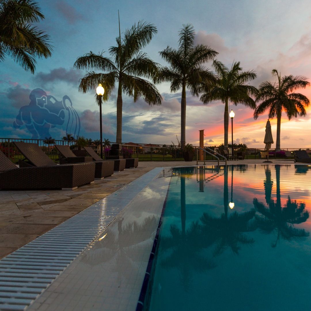 A sunset over a poolside patio with palm trees reflecting in the calm water, and a faint silhouette figure in the sky.