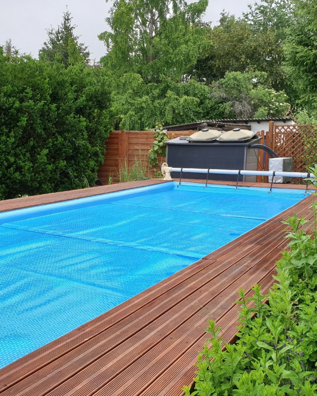 A rectangular swimming pool covered by a blue bubble blanket, surrounded by a wooden deck and lush green backyard foliage.