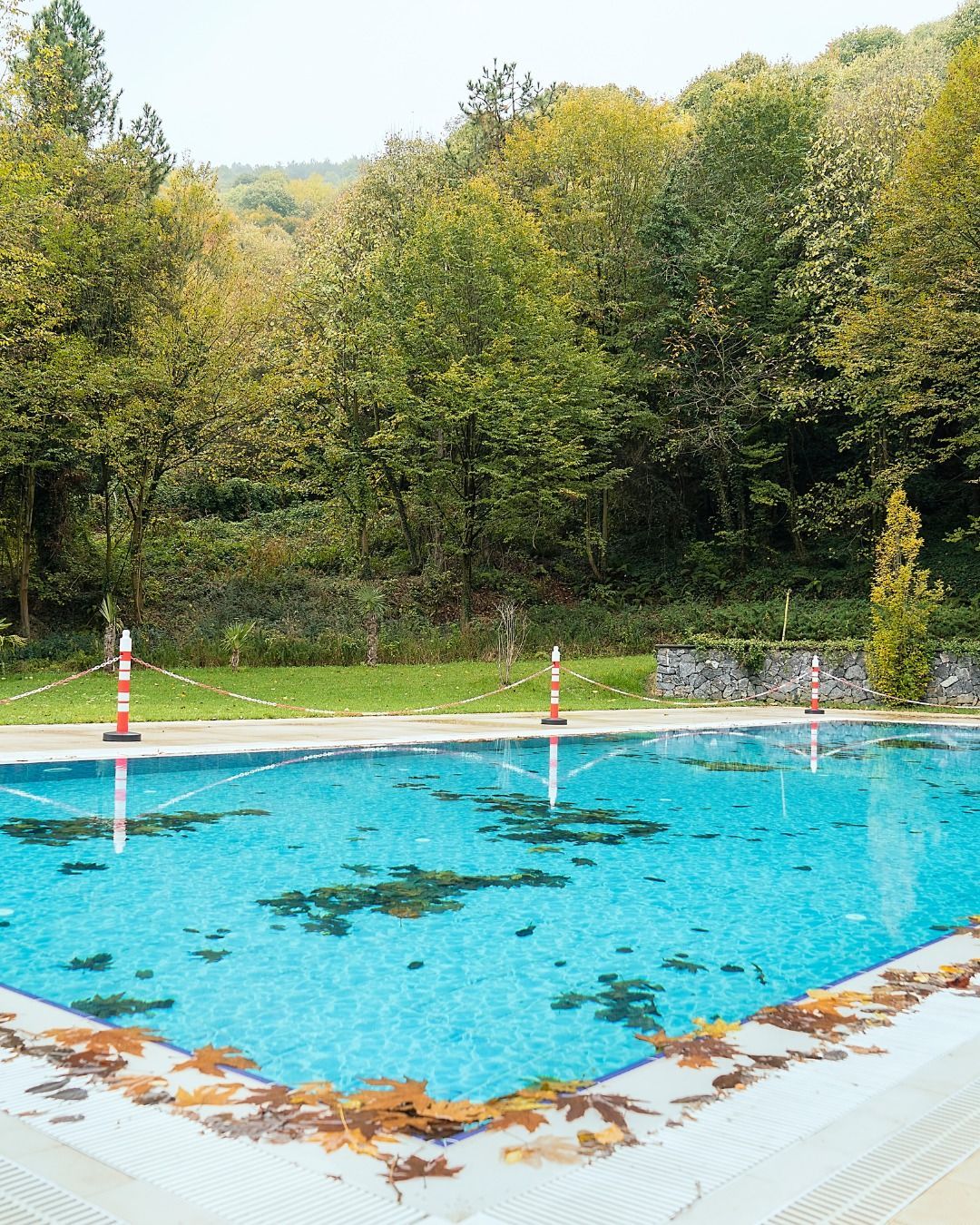 An outdoor swimming pool filled with fallen leaves, set against a backdrop of trees in an autumn landscape.