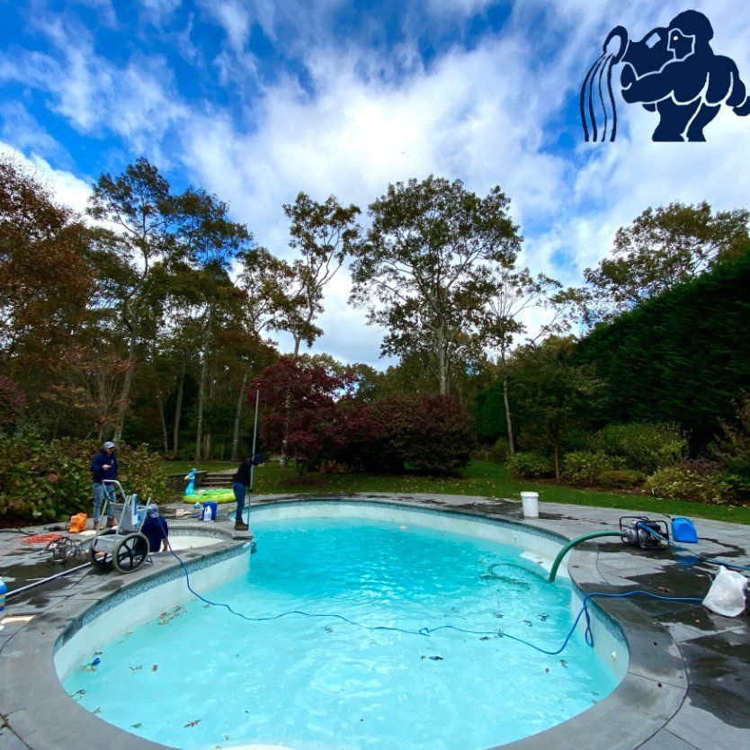 Two people service a bright blue outdoor swimming pool surrounded by trees under a partly cloudy sky.