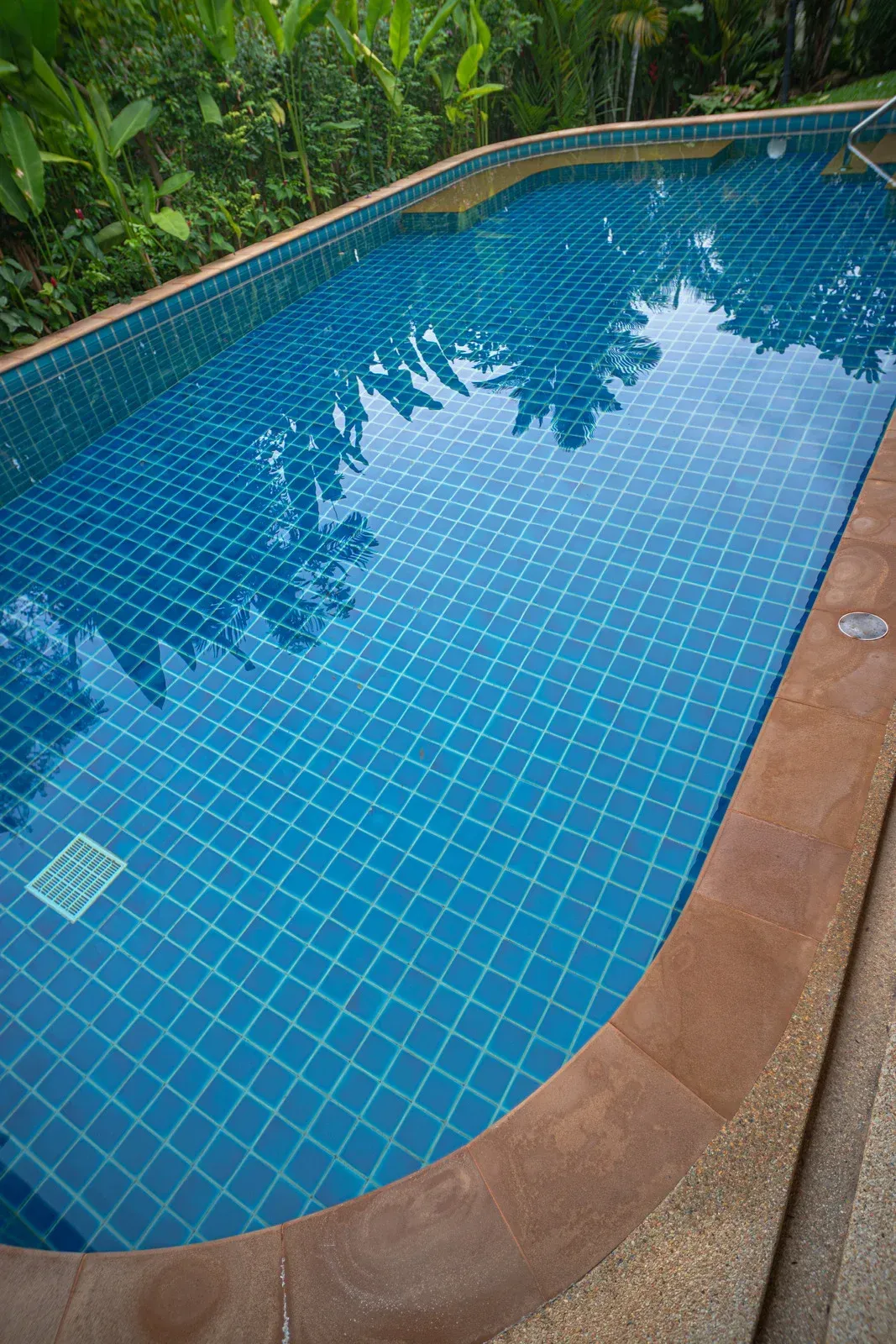A rectangular swimming pool with blue tiles, surrounded by a stone border and lush green plants.