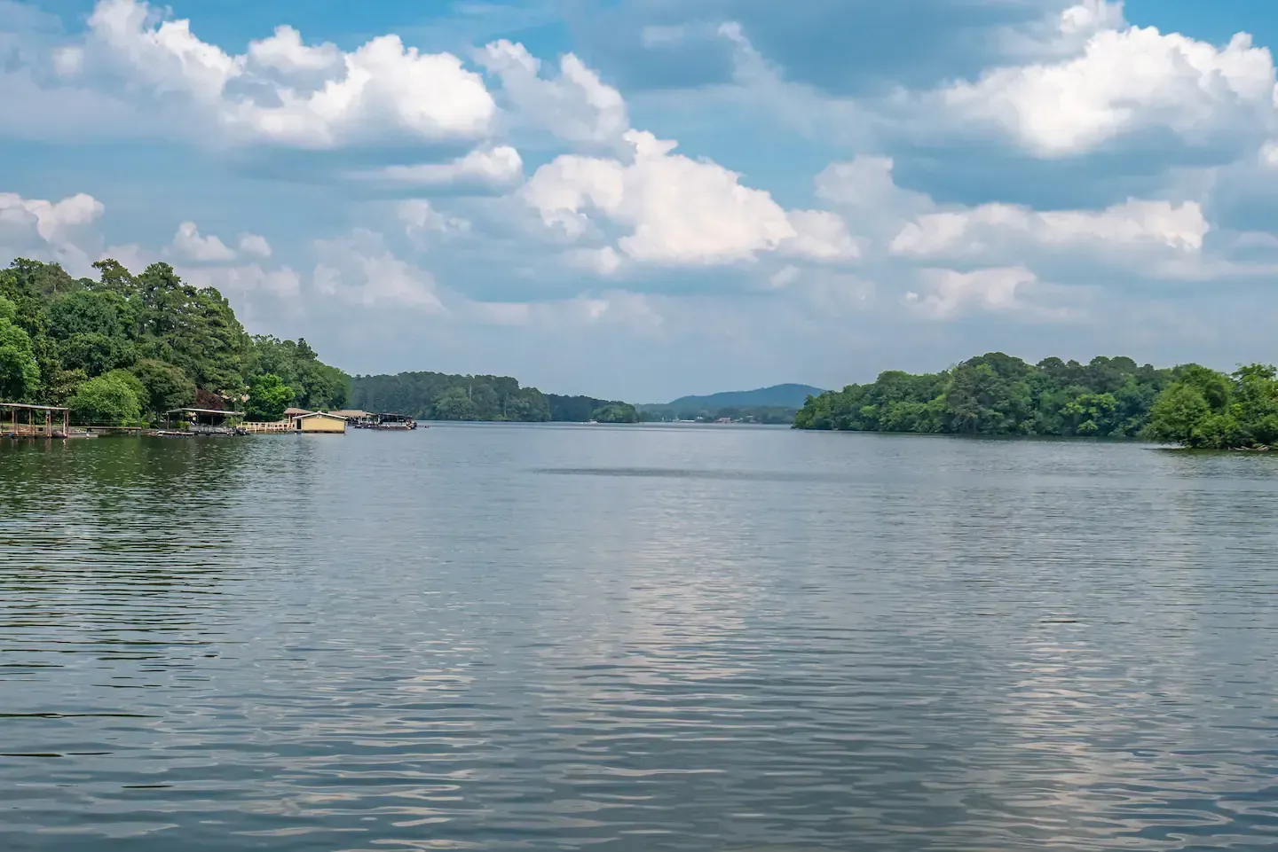 A large body of water surrounded by trees on a cloudy day