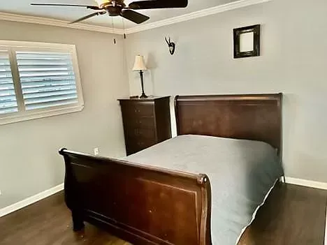 A bedroom with a bed , dresser , lamp and ceiling fan.