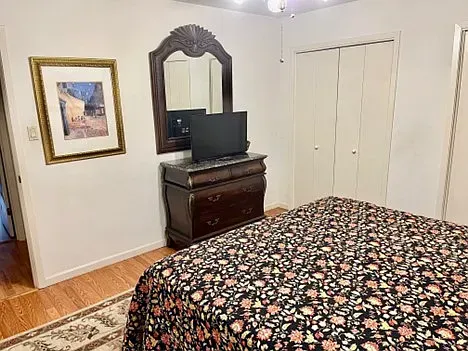 Bedroom with bed, dresser, mirror, TV, artwork, and closed closet doors.