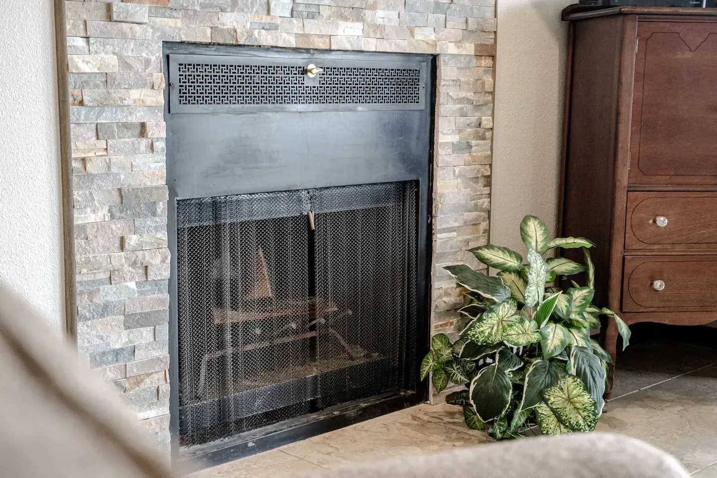 A fireplace with a plant in front of it in a living room.