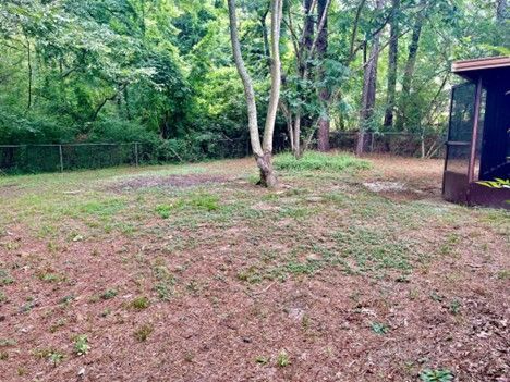 A backyard with a shed and trees in the background.