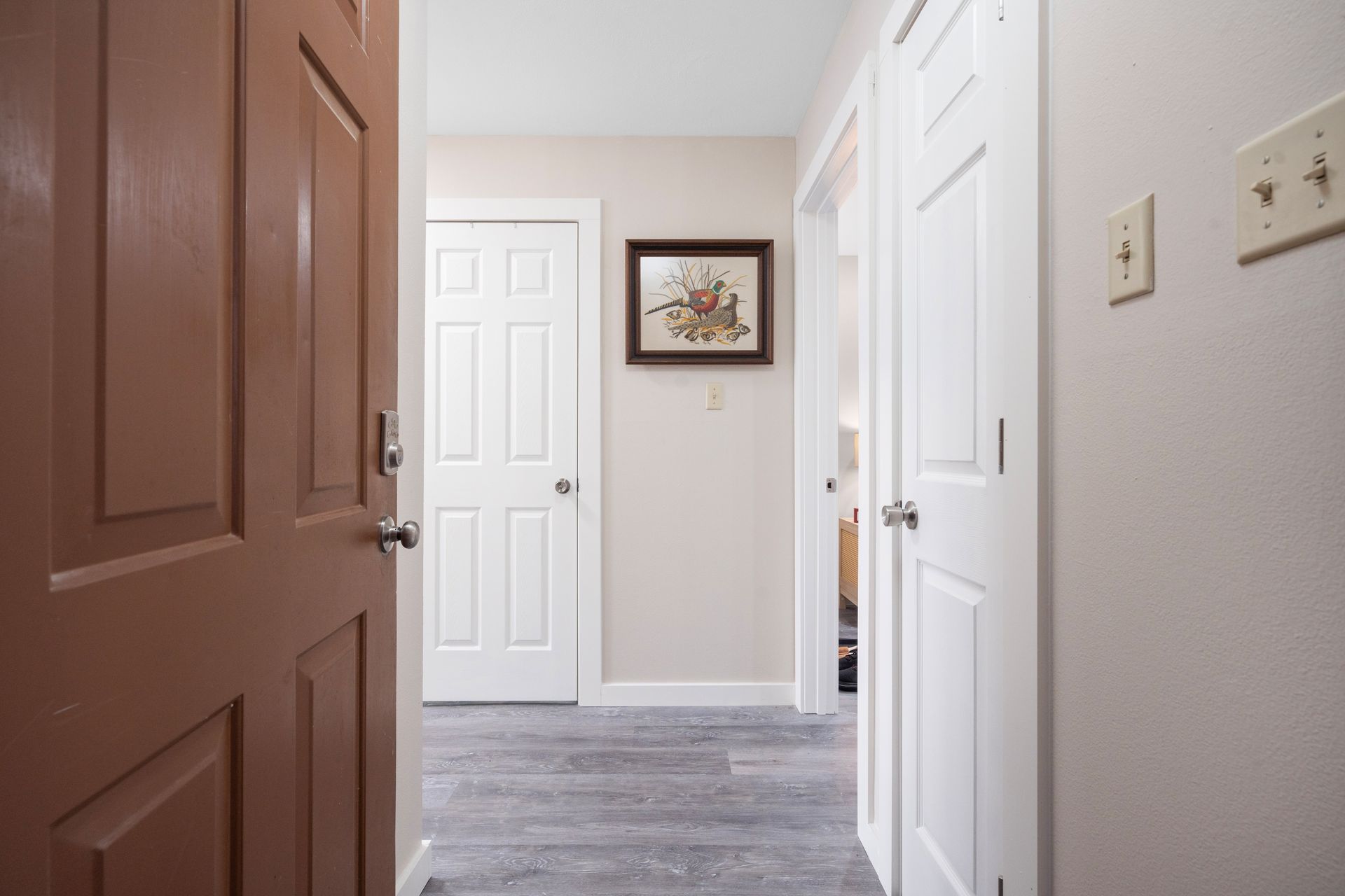 A hallway with a brown door and white doors and a picture on the wall.