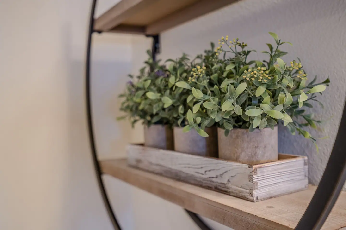 A wooden shelf with three potted plants on it.