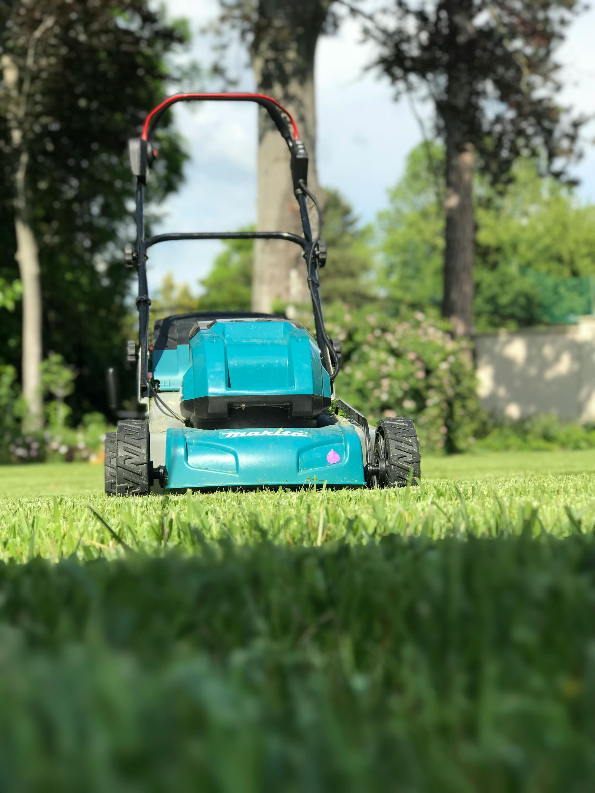 Blue toy lawn mower on grass with blurred trees in the background