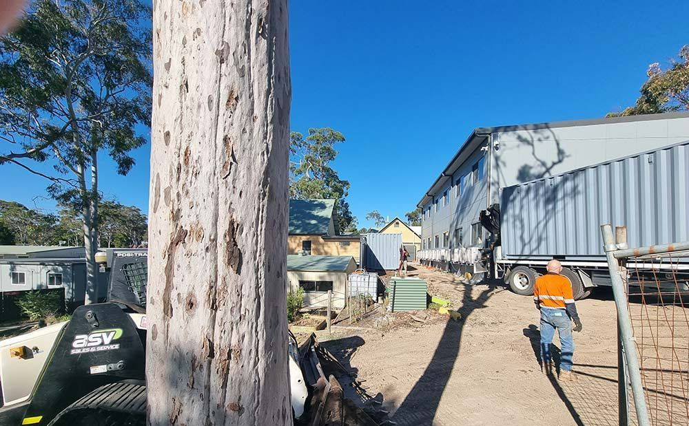 A Man Standing Next To A Tree With A Rsv Logo On It — Oz Shipping Containers in Teralba, NSW