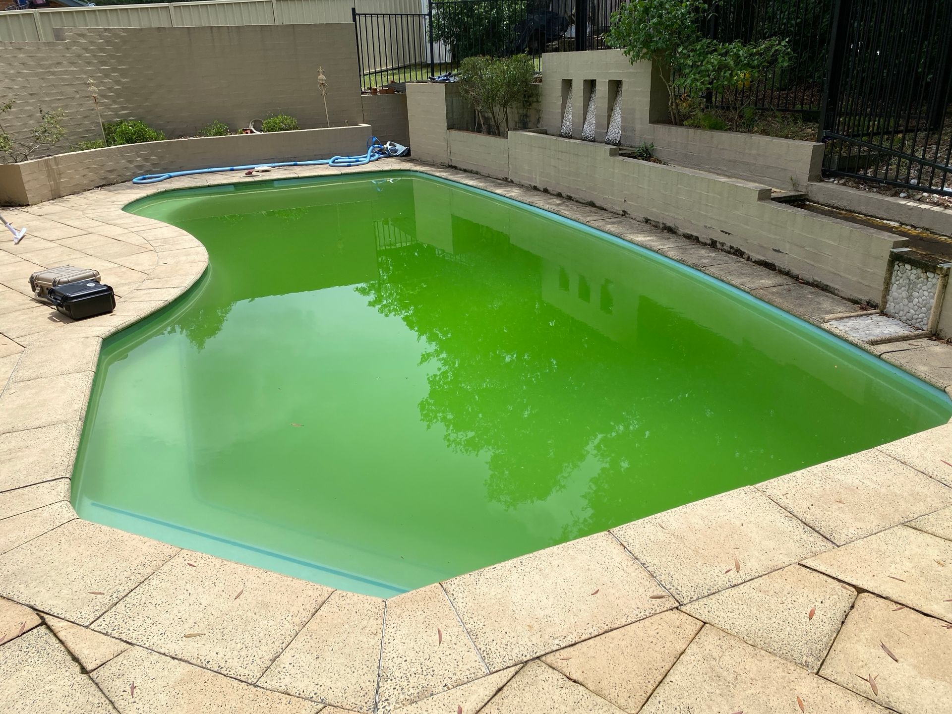 A green pool in Taree needing maintenance using pool supplies from Taree Pool Supplies