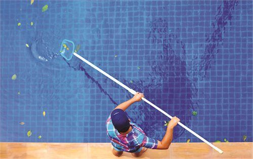 Pool Cleaning — Taree Pool Supplies in Taree, NSW