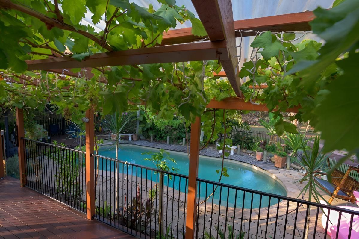 A Forster Swimming Pool Surrounded by vines that has been well maintained — Taree Pool Supplies in Forster, NSW