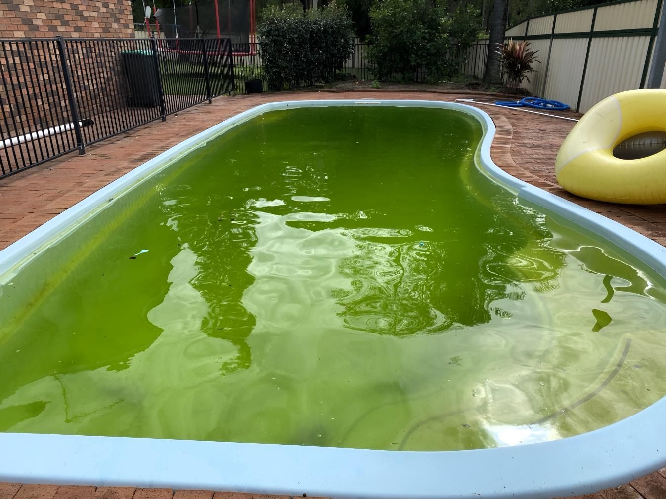 A Green Swimming Pool With a Yellow Float in It — Taree Pool Supplies in Taree, NSW