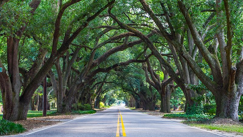 Aiken, SC