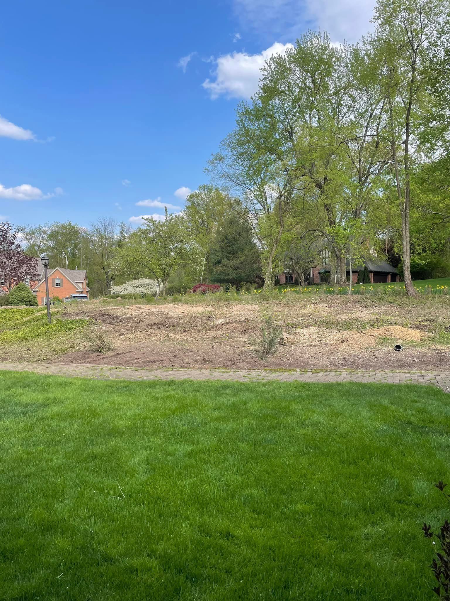 A lush green field with trees and a house in the background on a sunny day.