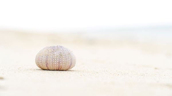 secret-to-goal-success-blog-by-art-of-life-coaching