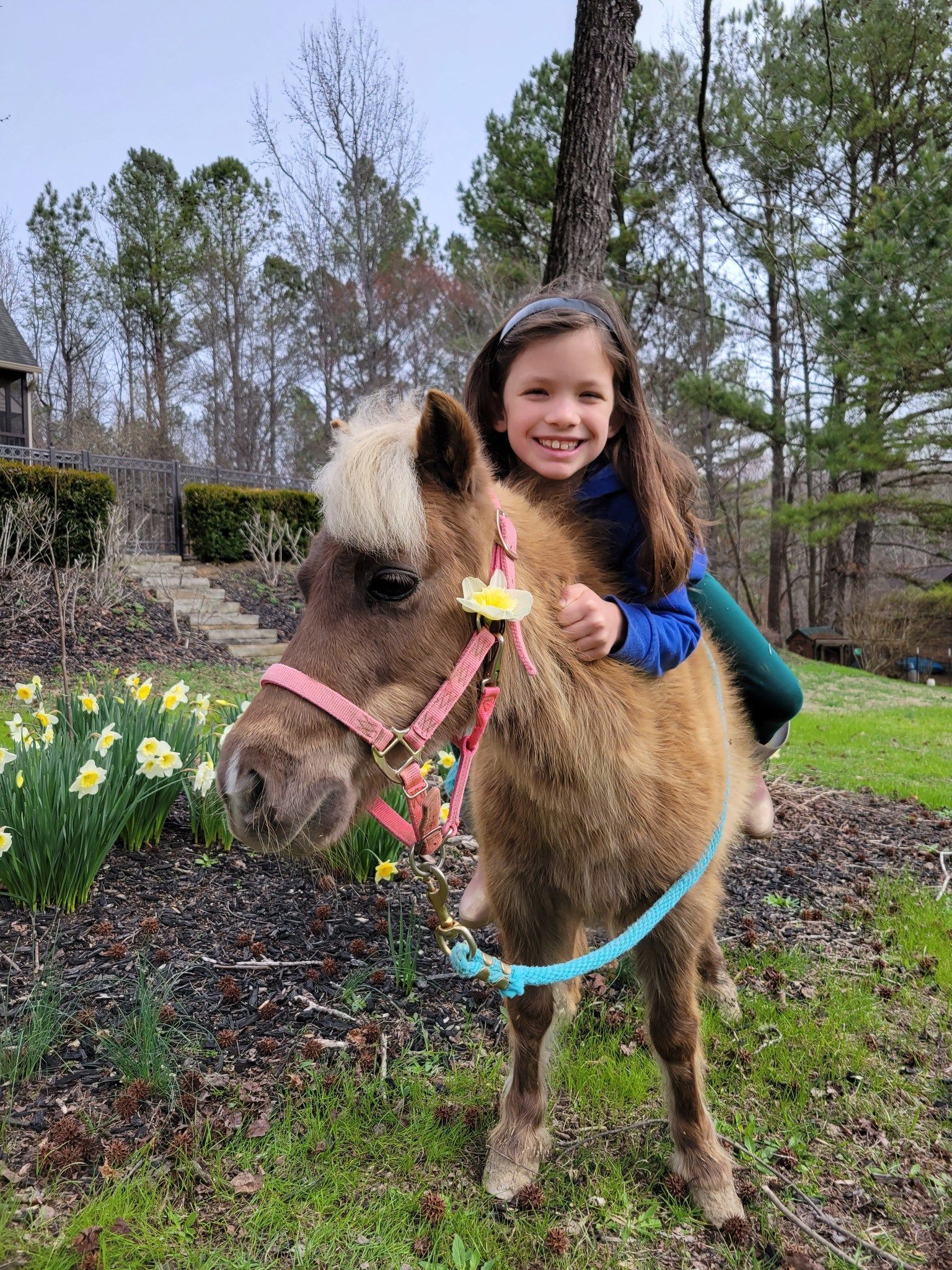 A little girl is riding on the back of a small pony.