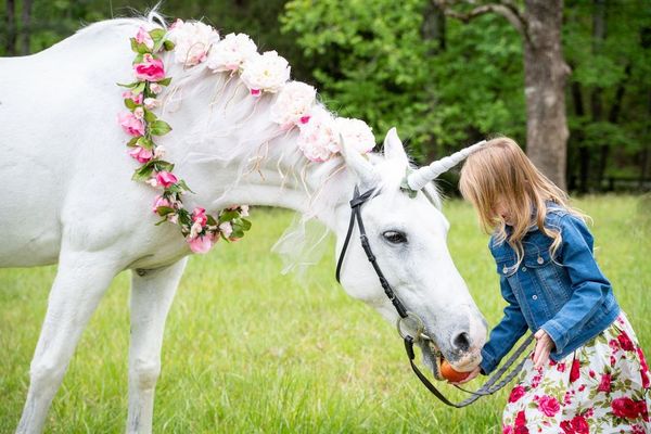 A little girl is feeding a white unicorn in a field.