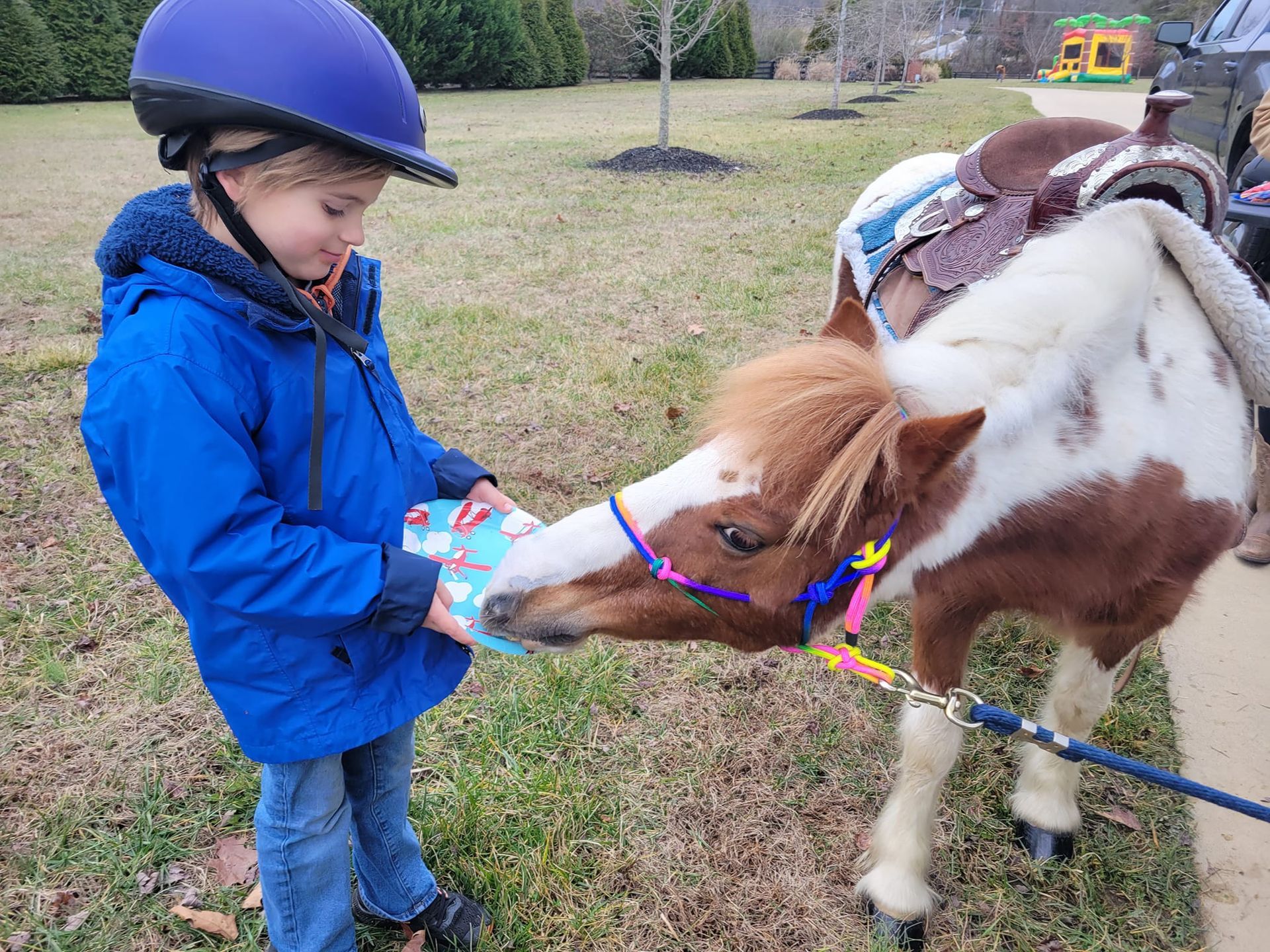 A little boy wearing a helmet is feeding a pony a toy.