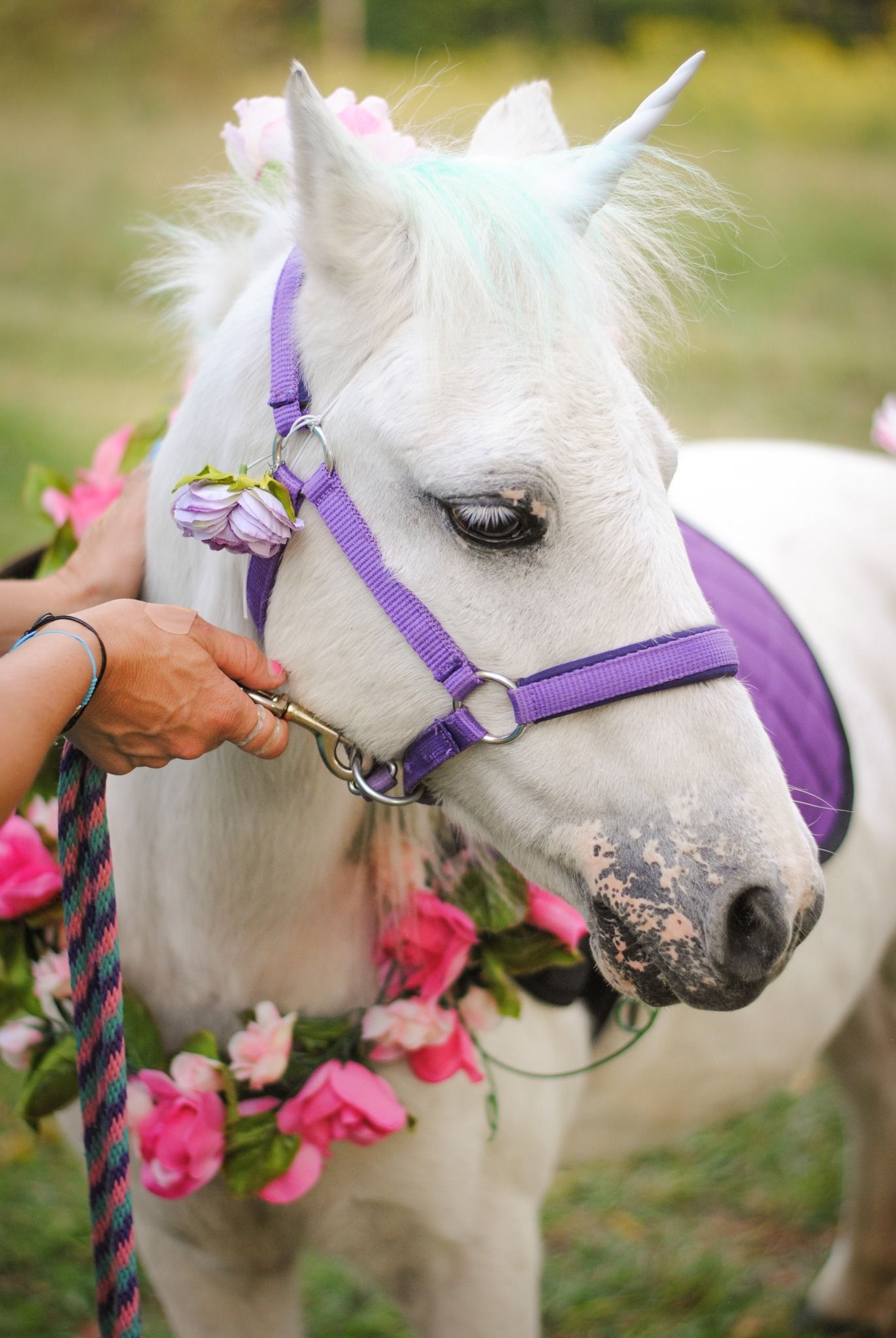 A person is holding a white horse with a unicorn horn and flowers in its mane.