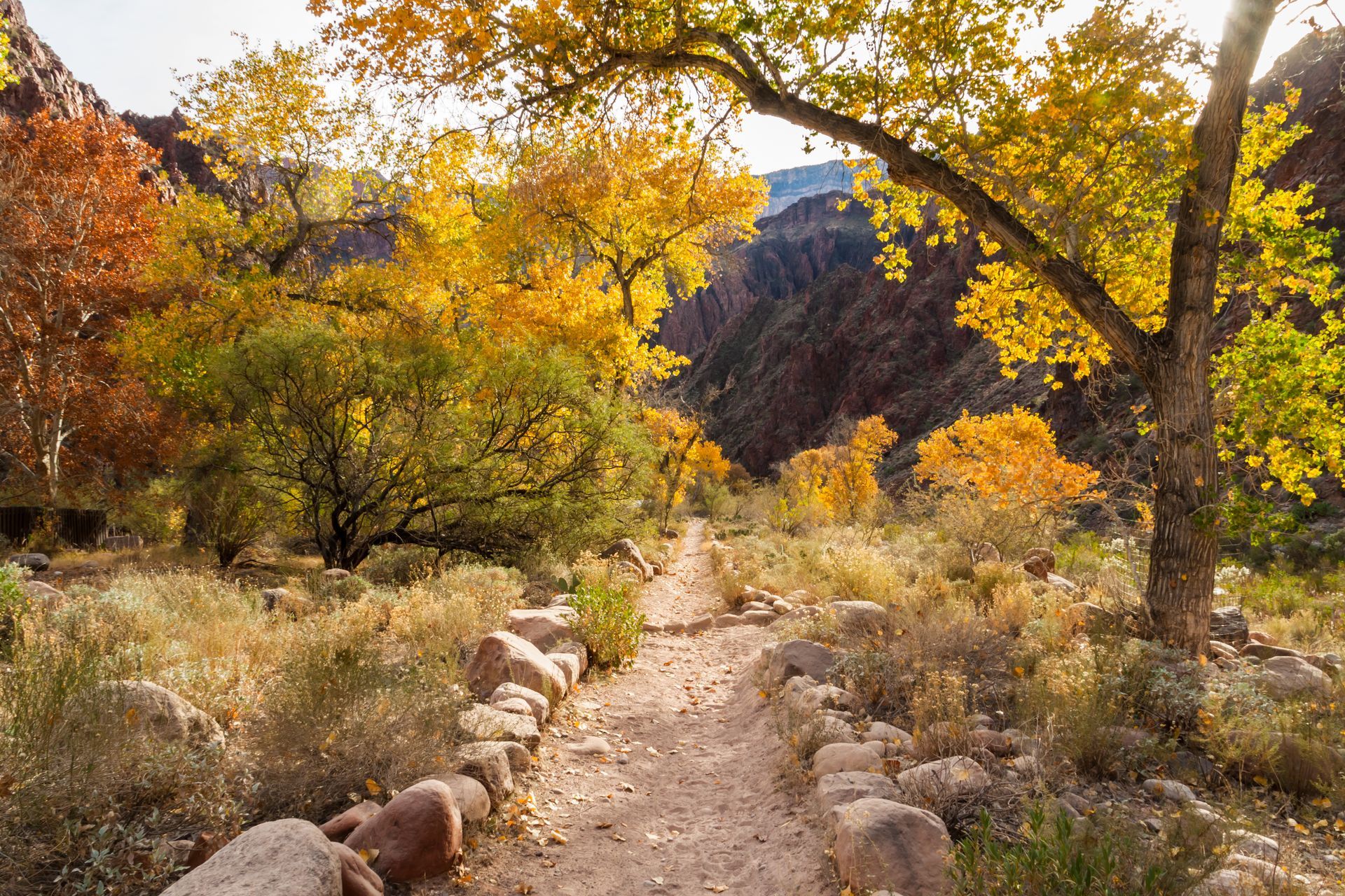 Dirt trail through canyon with trees in fall colors.