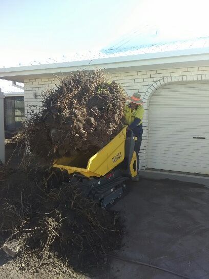 Person operating a yellow dumper carrying a large pile of roots and debris next to a building with garage doors.