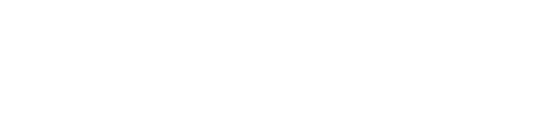 Sarah Guggolz