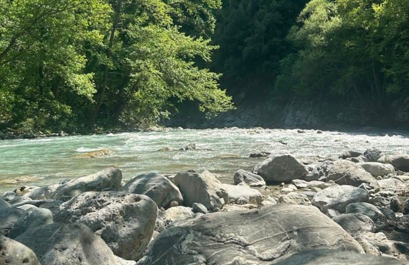 Sponda rocciosa del fiume accanto a un corso d'acqua turchese, con una fitta foresta verde sullo sfondo.