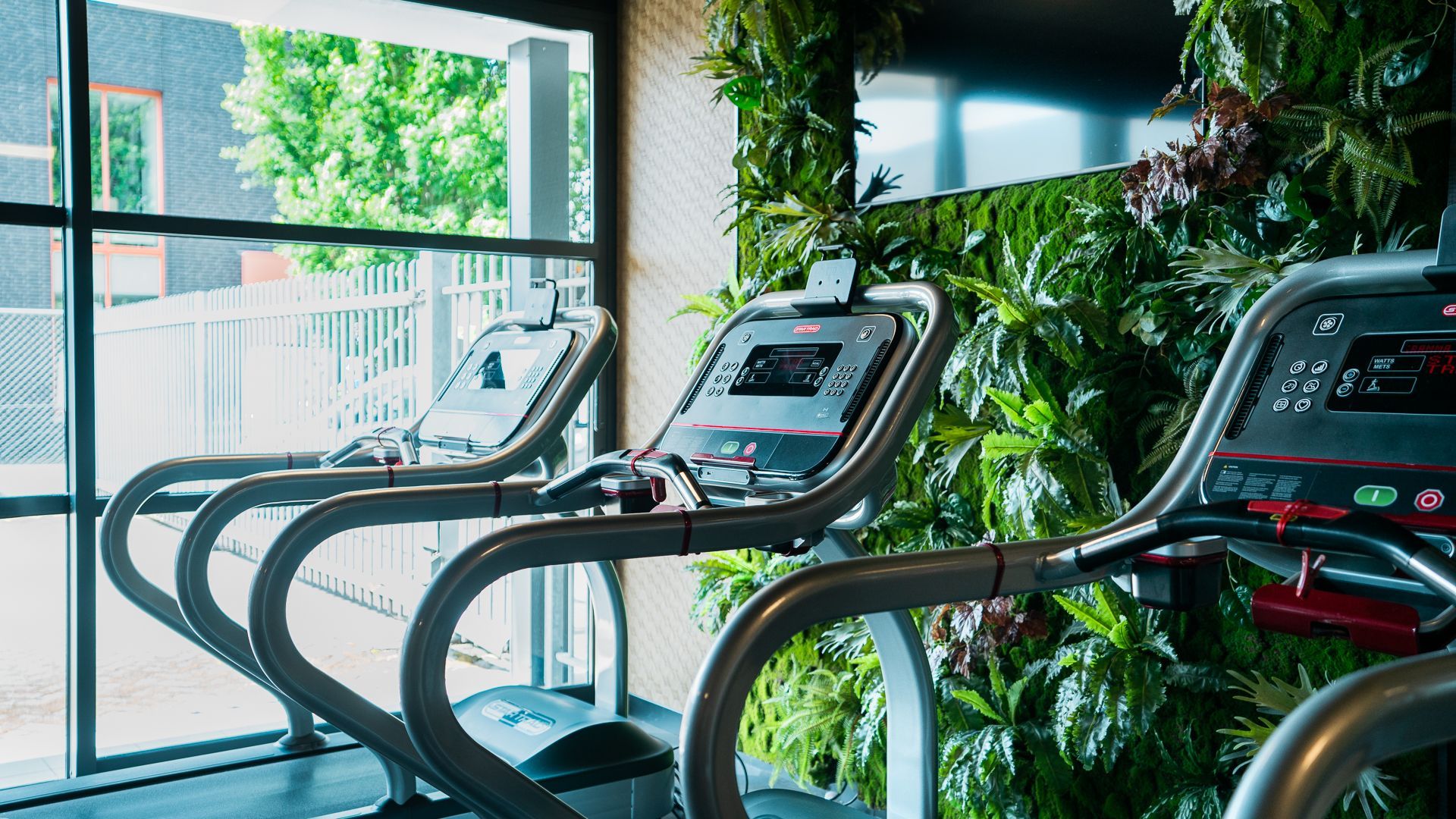 Een sportschool met loopbanden en een groene muur.