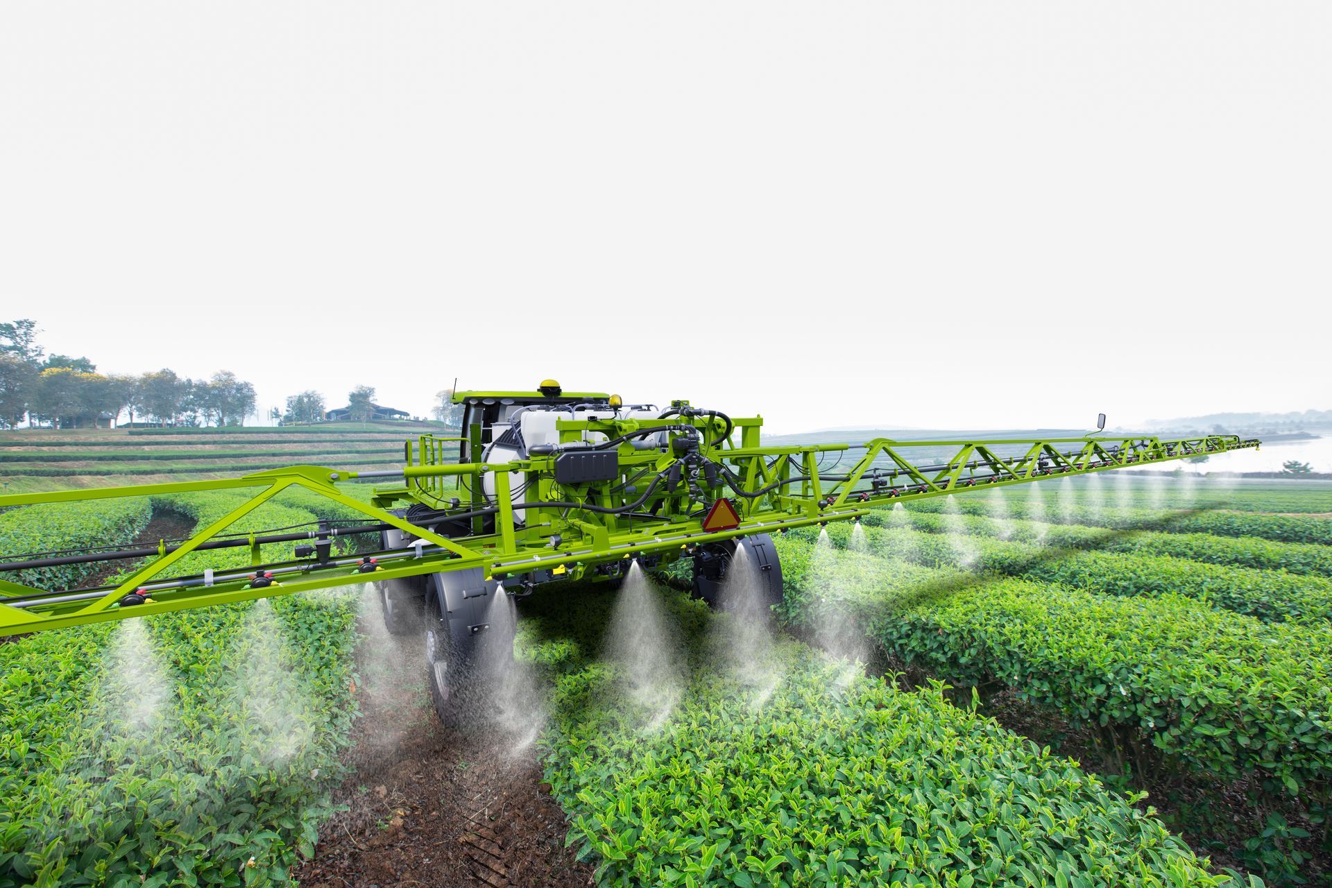 A green sprayer is spraying a field of green plants.