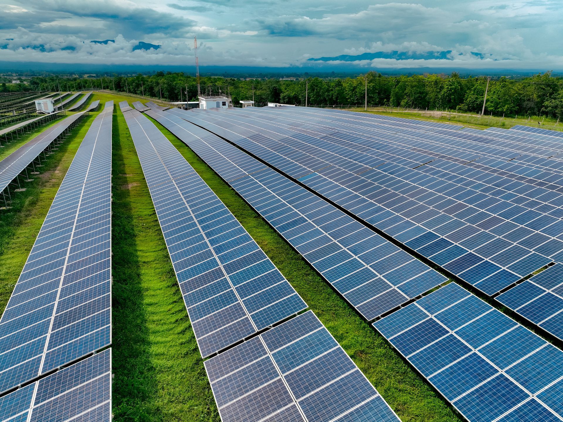 Solar farm with rows of panels generating renewable energy, supported by custom wiring harnesses and cable assemblies.