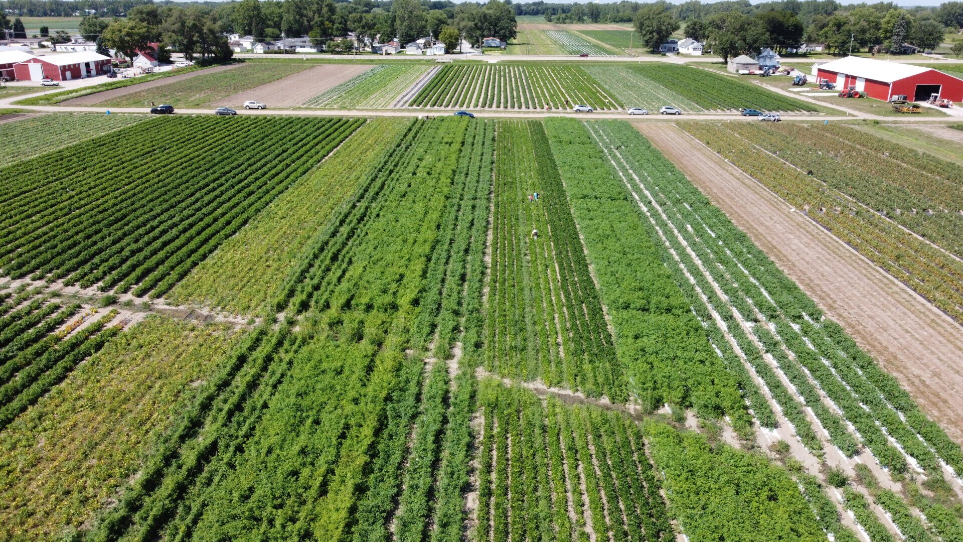 Farmstand & Greenhouse | Lynwood, IL | Bultema’s Farmstand & Greenhouse