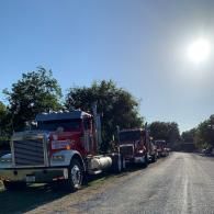 Red semi-trucks parked along a rural road in bright sunlight