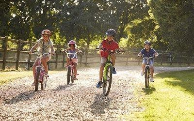 Four children riding bicycles on a sunlit park path