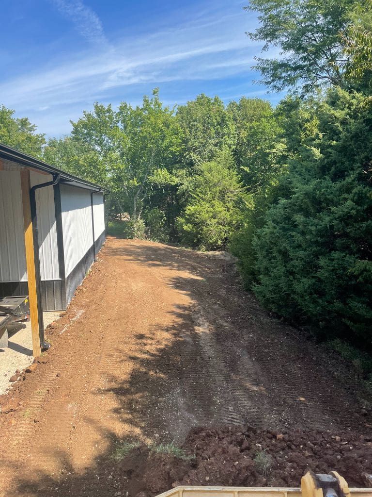 A dirt road leading to a house with trees in the background.